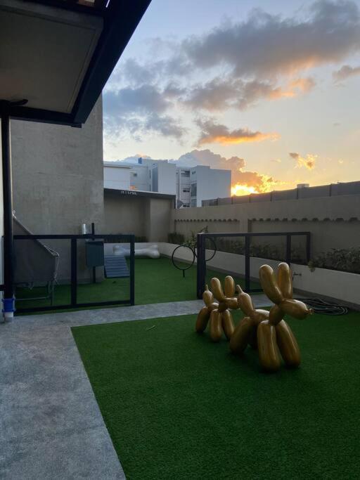 Apartment In Close To Restaurants San Jose (San Jose)